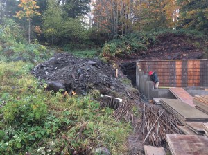 Basement/garage for the house next door. The small clearing at the back of the lot is the back right corner of our lot. This picture was taken from the front street.