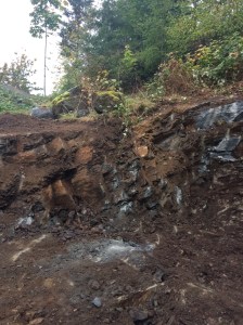View towards the back corner of our lot from the excavated lot.